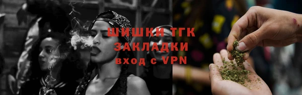 дурь Пестово