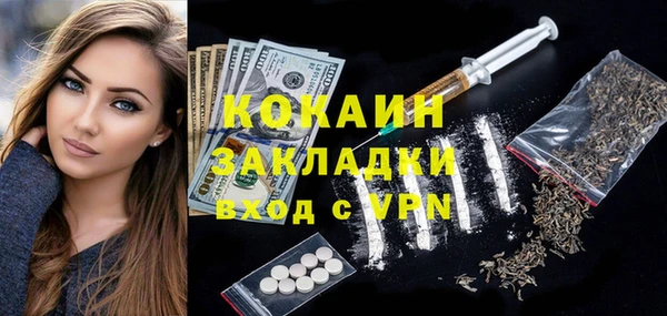 дурь Пестово