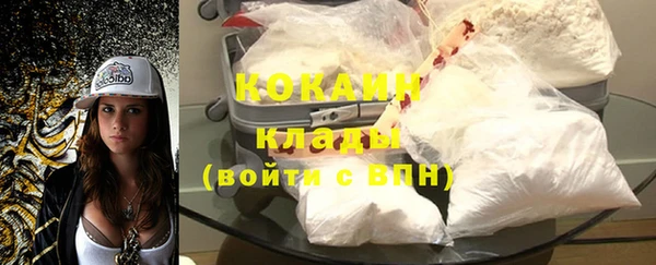 дурь Пестово