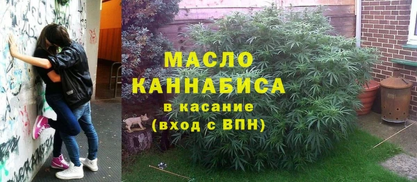 дурь Пестово